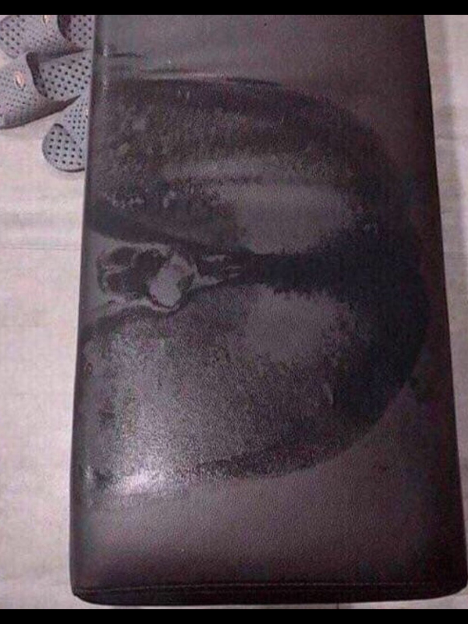 Circumstantial Evidence