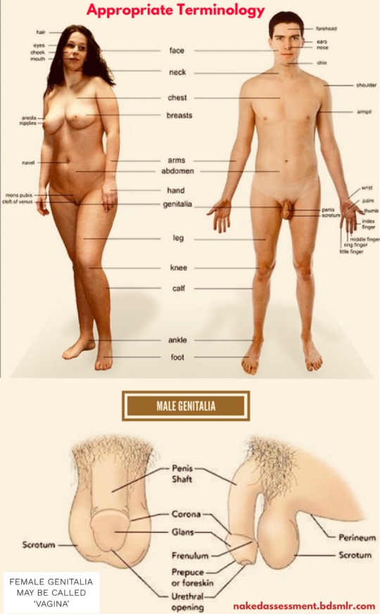 Appropriate Terminology