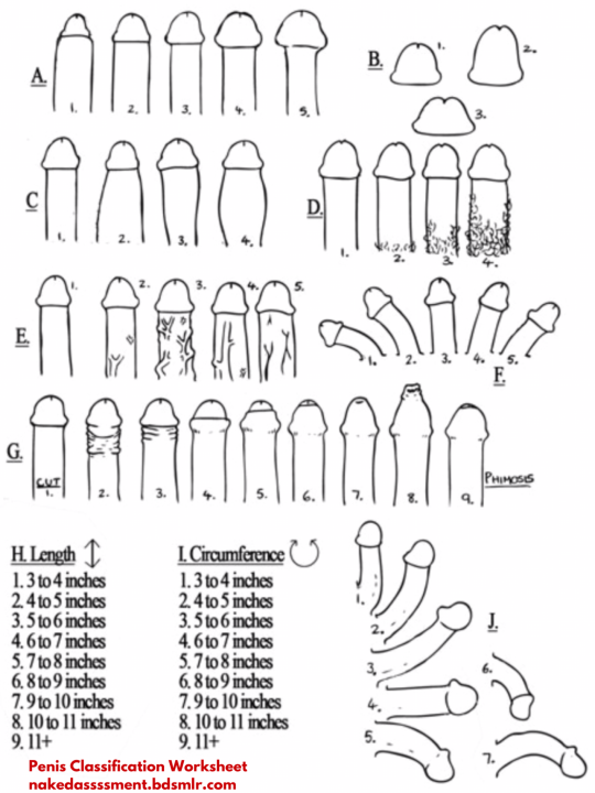 Penis Classification